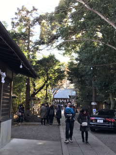 伊豆美神社の初詣