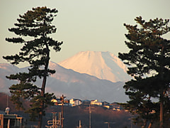 多摩川から臨む冬の富士山